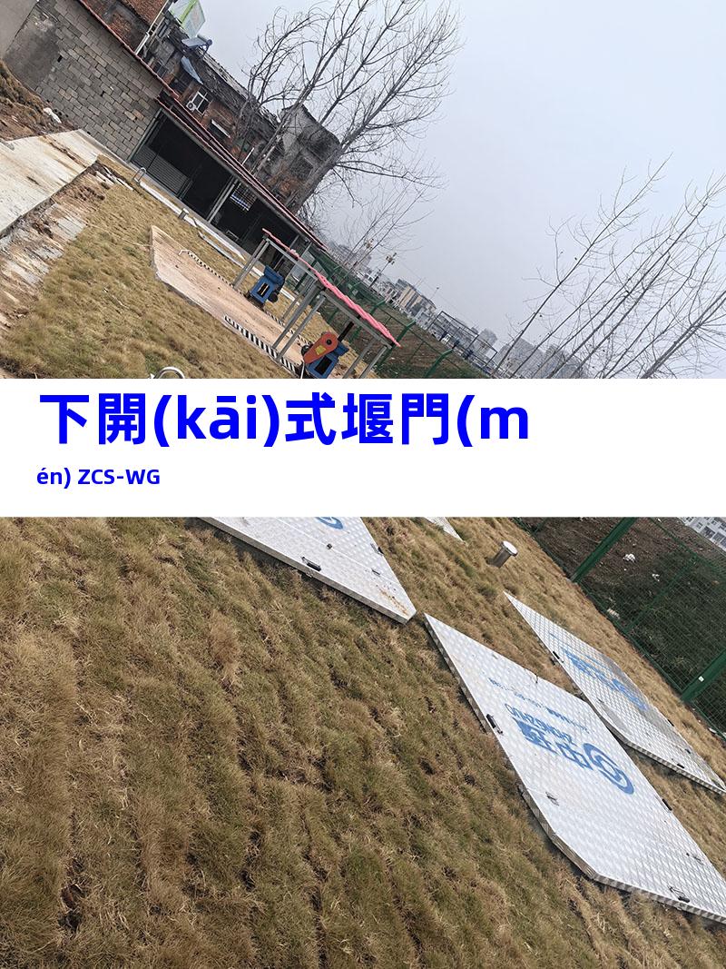 下開(kāi)式堰門(mén) ZCS-WG